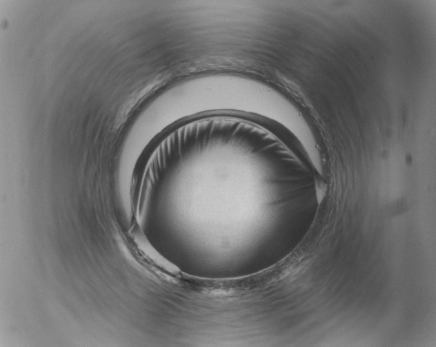 X0000053090538200508012035