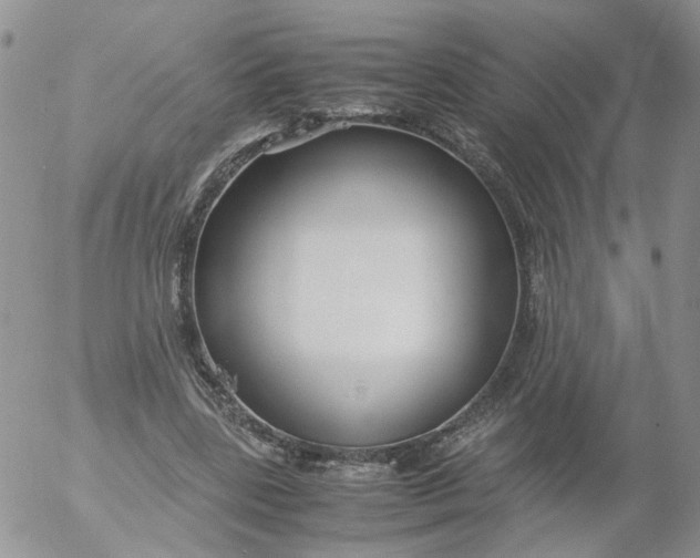 X0000053090539200508012035