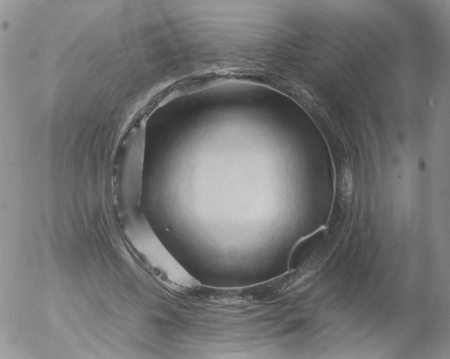 X0000053090540200508012035