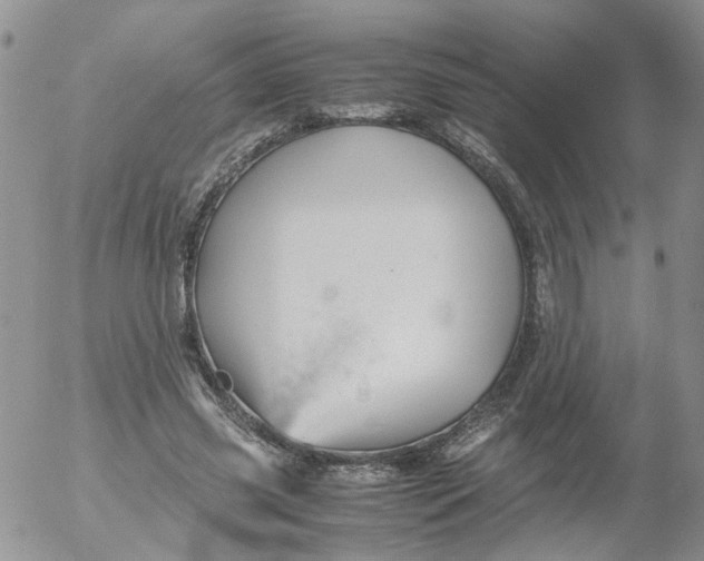 X0000053090541200508012035