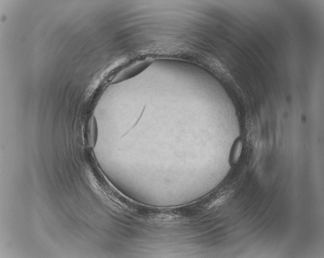 X0000053090542200508012035