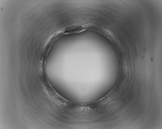 X0000053090543200508012035