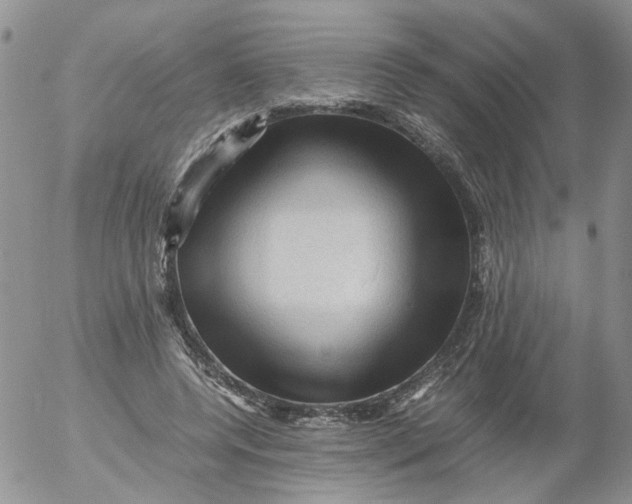 X0000053090544200508012035