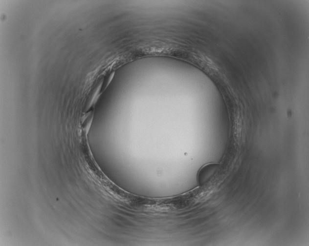 X0000053090545200508012035