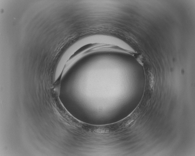 X0000053090546200508012035