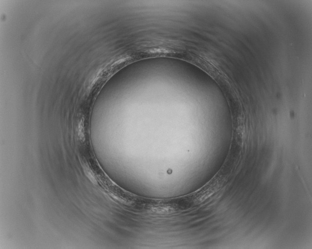 X0000053090547200508012035