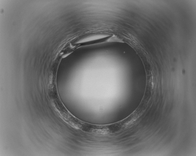 X0000053090548200508012035