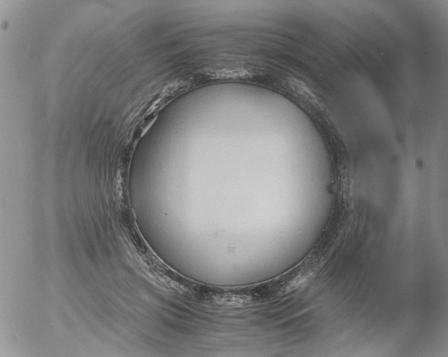 X0000053090549200508012035