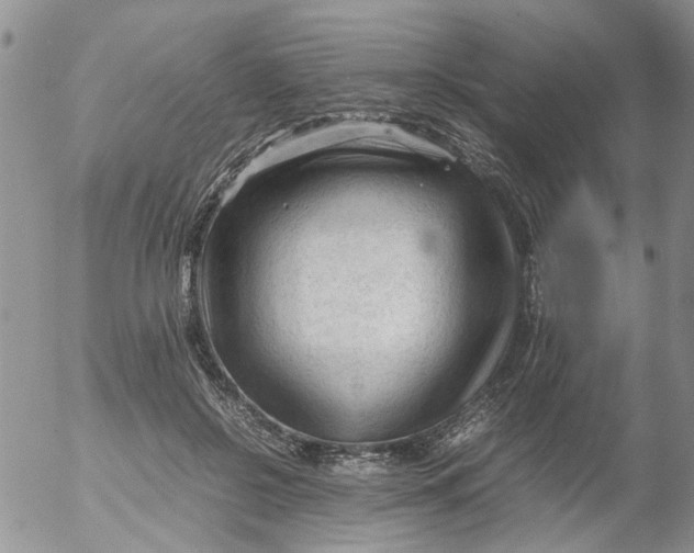 X0000053090550200508012035