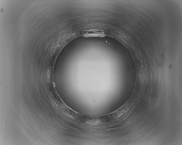 X0000053090551200508012035