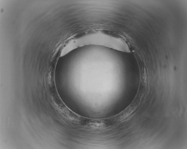 X0000053090552200508012035