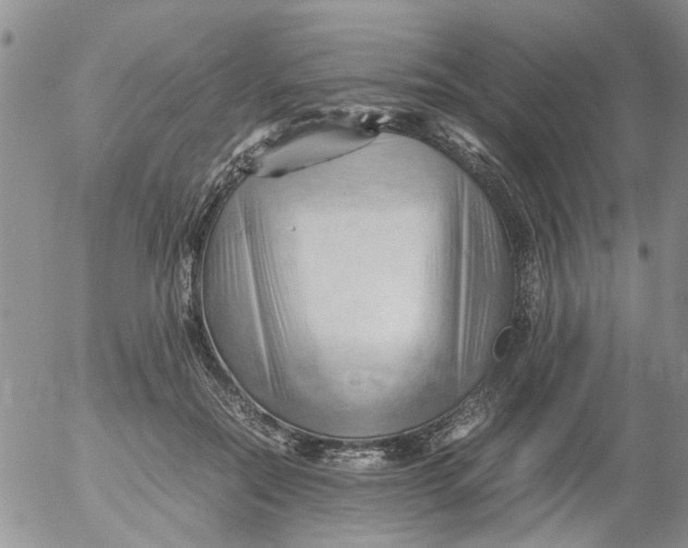 X0000053090554200508012035