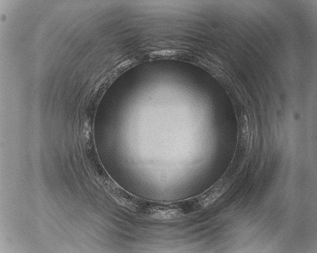 X0000053090555200508012035