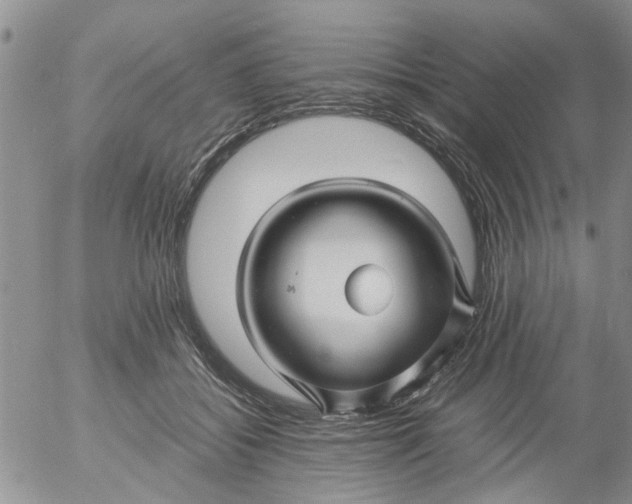 X0000053090556200508012035