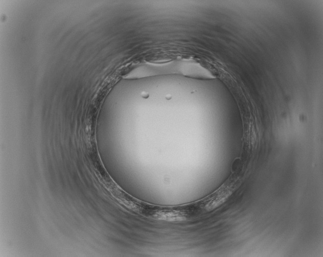 X0000053090557200508012035