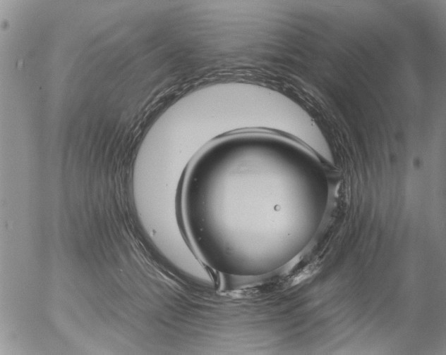 X0000053090558200508012035