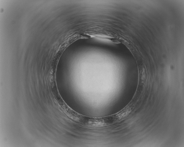 X0000053090559200508012035