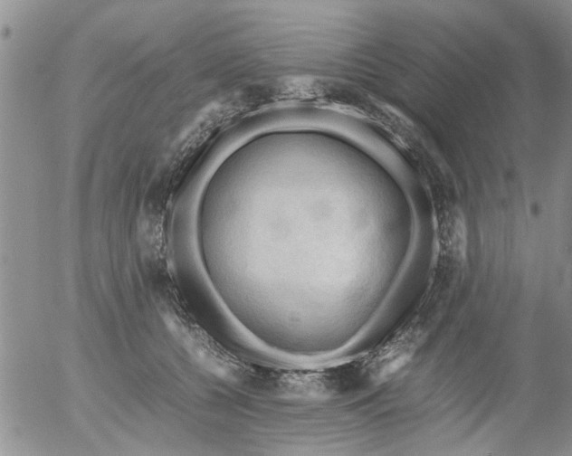 X0000053090560200508012035