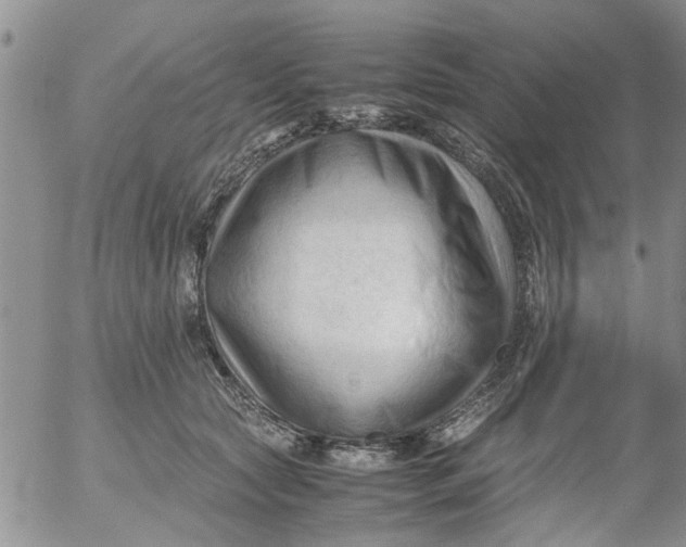 X0000053090561200508012035