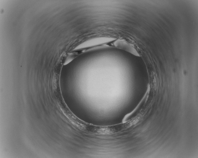 X0000053090562200508012035