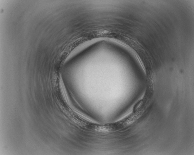 X0000053090565200508012035