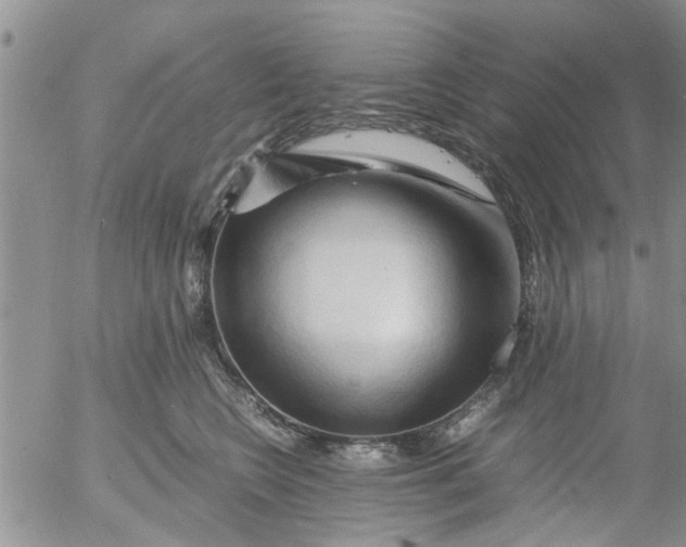 X0000053090566200508012035