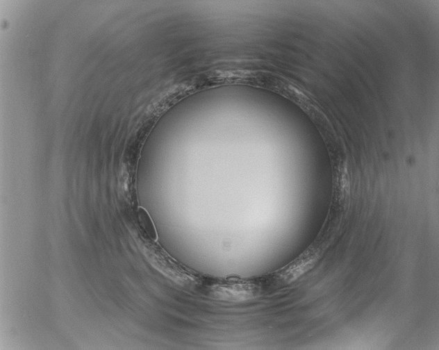 X0000053090567200508012035