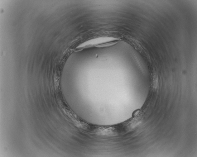 X0000053090569200508012035