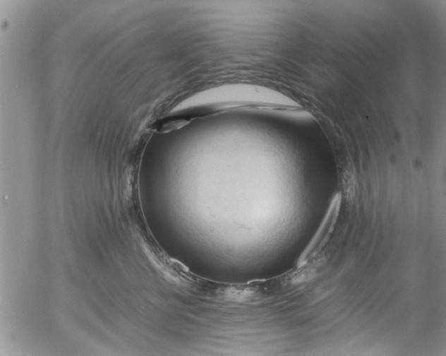 X0000053090570200508012035