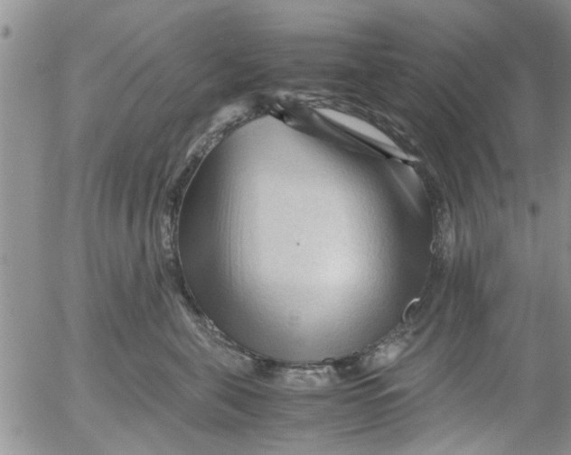 X0000053090571200508012035