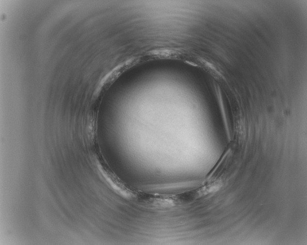 X0000053090572200508012035