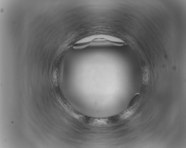 X0000053090573200508012035