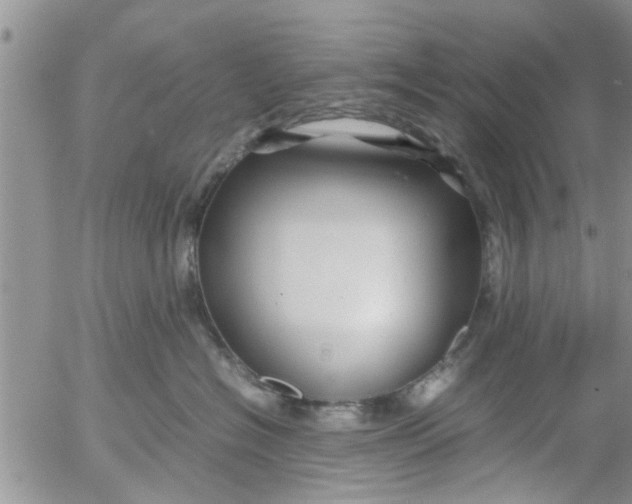 X0000053090574200508012035