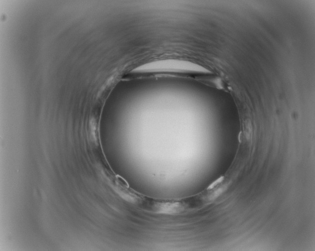 X0000053090575200508012035