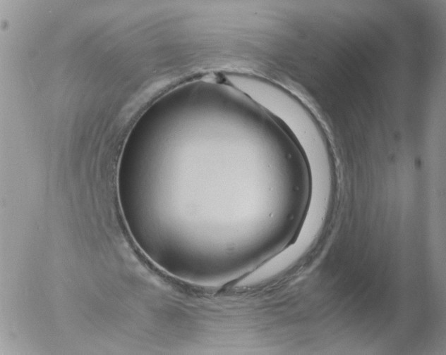 X0000053090577200508012035