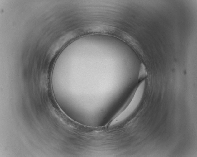 X0000053090578200508012035