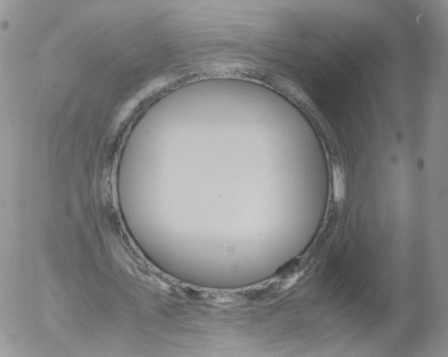 X0000053090579200508012035