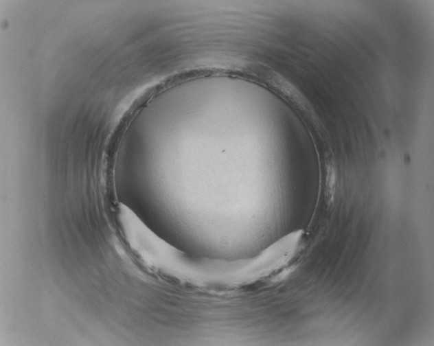 X0000053090580200508012035