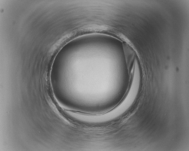 X0000053090581200508012035