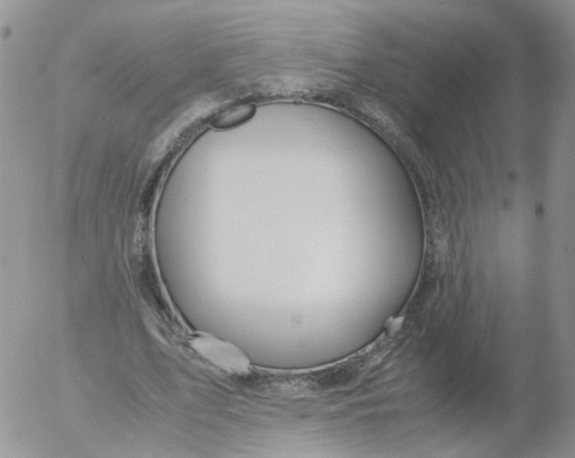 X0000053090583200508012035