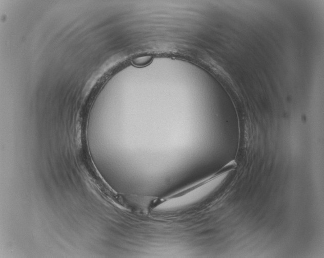 X0000053090584200508012035