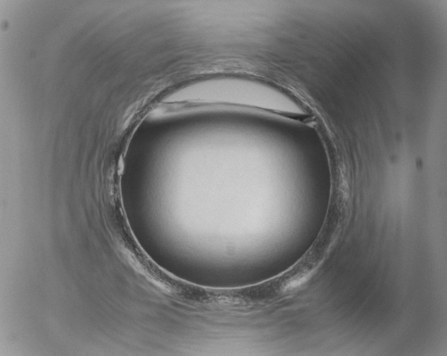 X0000053090585200508012035