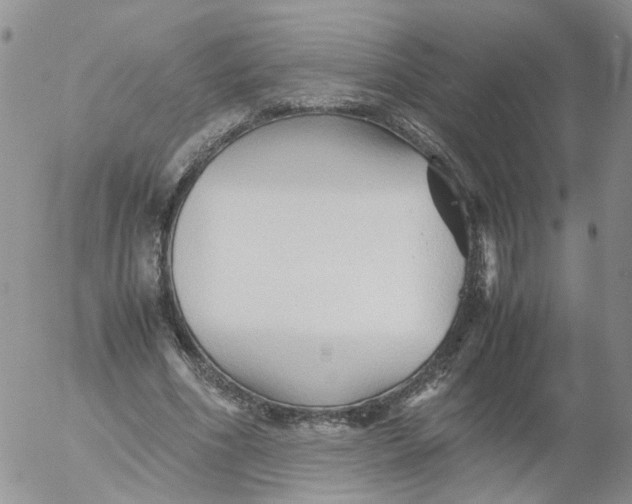 X0000053090586200508012035