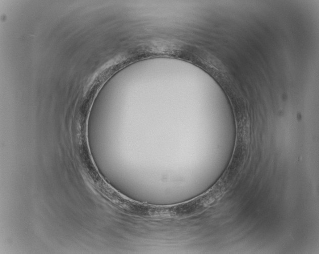 X0000053090587200508012035