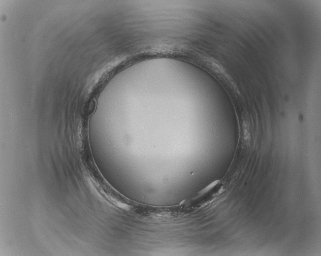 X0000053090588200508012035