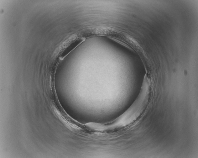 X0000053090589200508012034