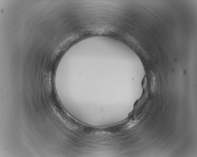 X0000053090590200508012034