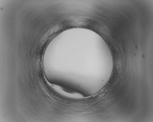 X0000053090591200508012034