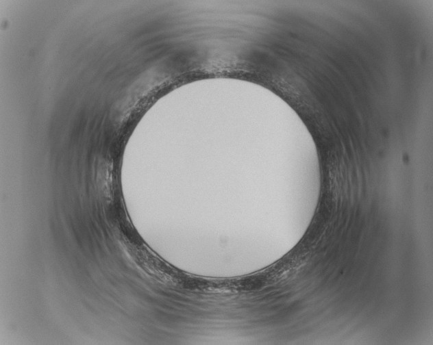 X0000053090592200508012034