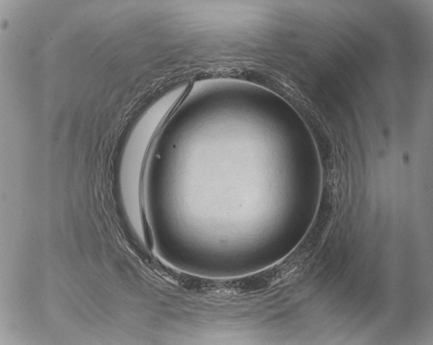 X0000053090593200508012034